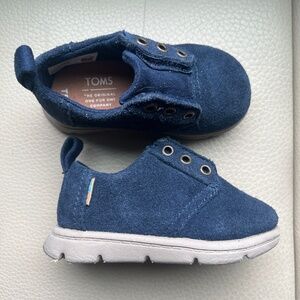 Toms  little blue suede shoe